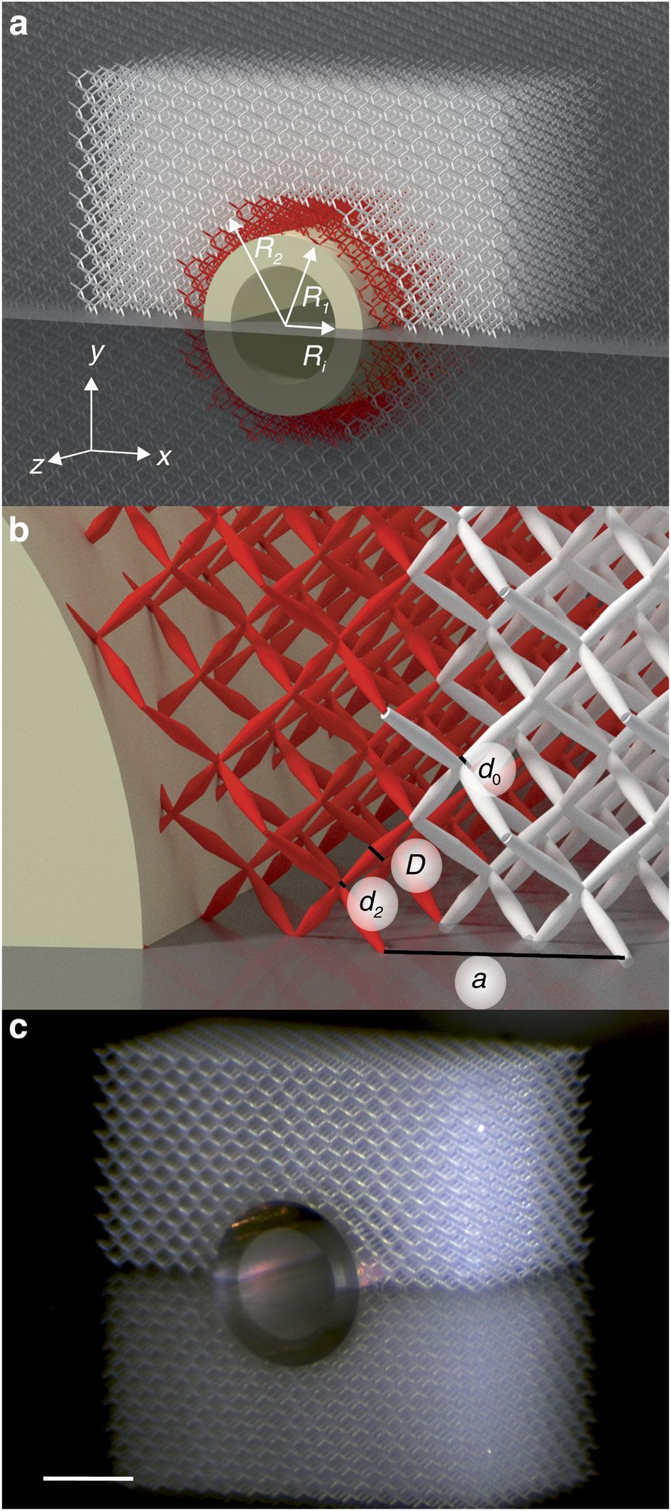 Invisibility cloaks in science