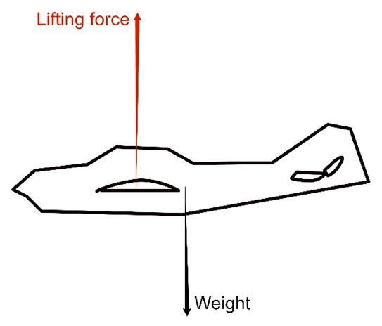 How does an aircraft fly?