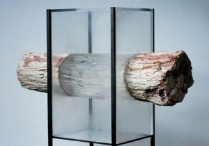 transparent wood