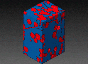 Enter the world of Microtomography