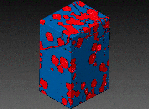 Enter the world of Microtomography