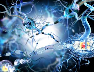 3d printed biomaterials