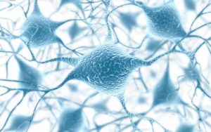 biomaterials - the basics