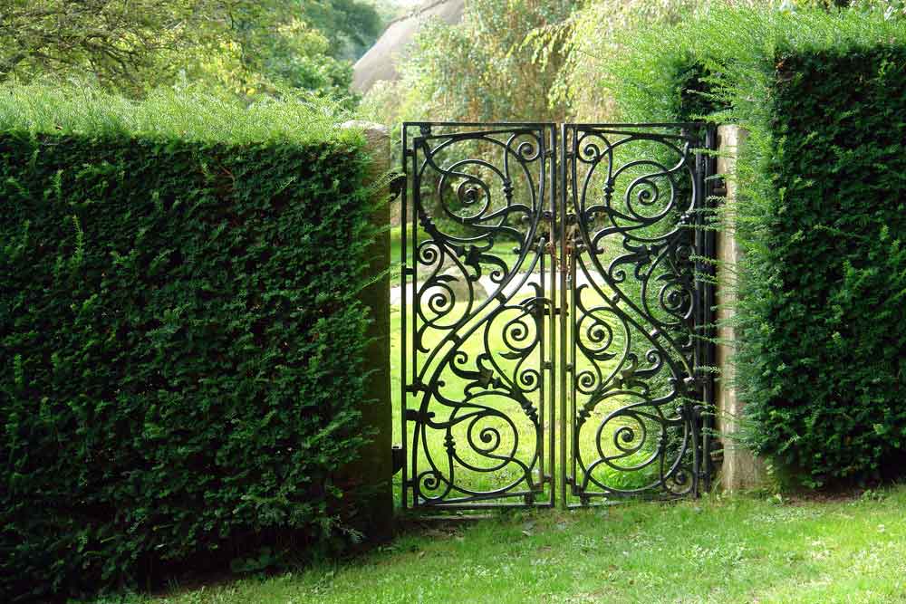 An ornate garden gate made from wrought iron