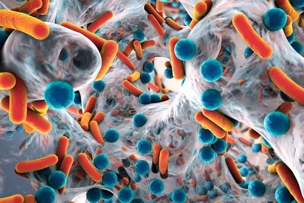 3d printed parts that kill bacteria: Escherichia coli, Pseudomonas aeruginosa, Mycobacterium tuberculosis, Klebsiella, Staphylococcus aureus, MRSA under the microscope