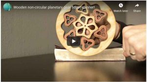 wooden non-Circular Planetary Gear