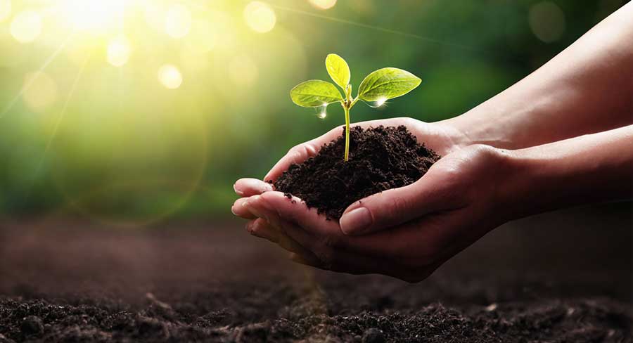 sustainability-in-materials-selection