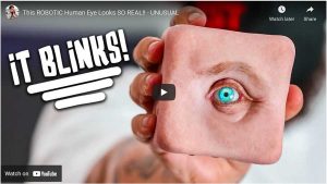 super realisitc robotic human eye - a phot of a realistically looking eyeon a block of artificial human skin